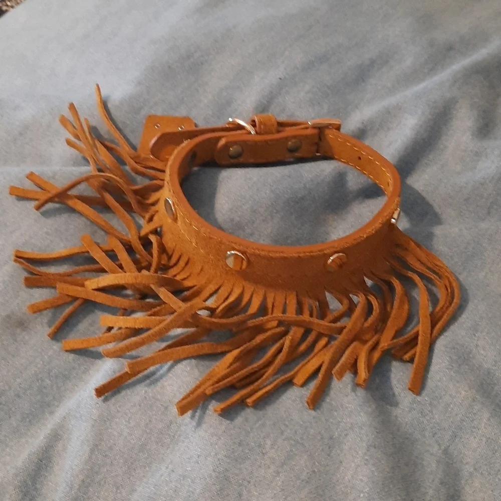Sm/med fringe dog collar 10-14 in neck nwot